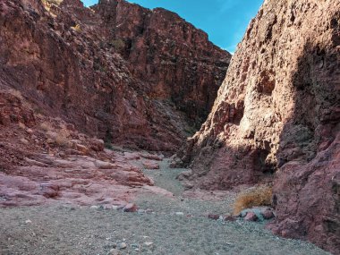 Arizona Havasu Gölü etrafındaki kanyonlarda SARA Yürüyüş Patikası