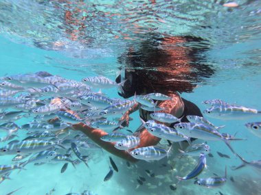 Genç Siyah Kadın Maldivlerde Şnorkelle yüzüyor