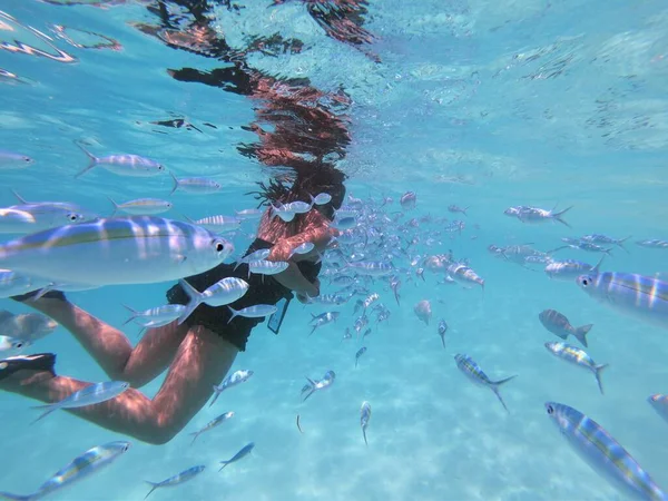 Genç Siyah Kadın Maldivlerde Şnorkelle Yüzüyor Stok Fotoğraf