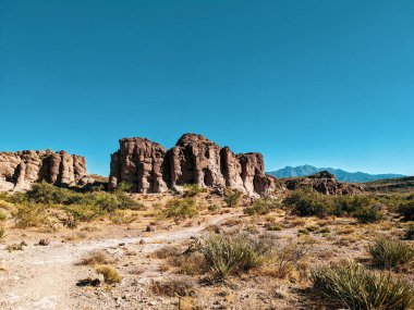 Kingman, Arizona 'daki Monolith Garden Trail, ABD