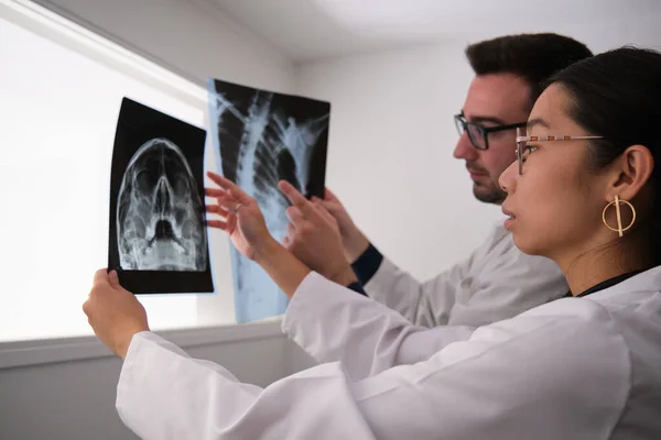 Dos doctores estudiando un cráneo y una radiografía de costillas. —  Fotos de Stock