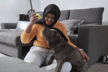 Genç Müslüman kadın evde gri Sharpei köpeğiyle oynuyor..