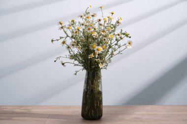 Cam vazoda bir buket papatya çiçeği..