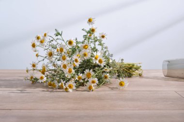 Cam bir vazodan dökülen papatya çiçekleri..