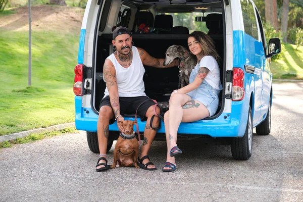 Молодая татуированная пара со своими собаками, сидящими на заднем сиденье фургона. — стоковое фото