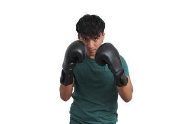 Genç Perulu boksör nöbette. izole.