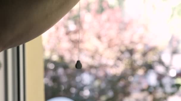 Man Händer Stängning Infällbar Insekt Skärm Skydd Mot Myggbett — Stockvideo