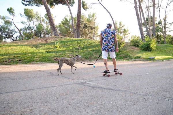 Молодой Человек Татуировкой Выгуливает Собаку Катается Длинной Доске Парке Задом — стоковое фото