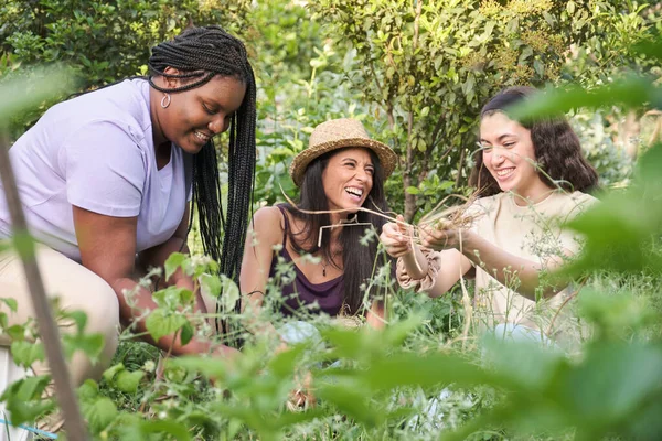 Tres Jóvenes Mujeres Multirraciales Quitando Las Malas Hierbas Riendo Jardín — Foto de Stock