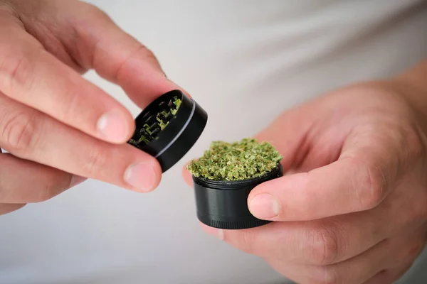 Two Hands Holding Marijuana Grinder Milled Cannabis Female Flower Herb — Fotografia de Stock
