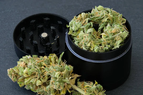 Close Cannabis Female Flower Herb Grinder Slate Marijuana Plant — Fotografia de Stock