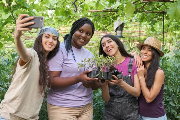 Four Multiethnic Young Female Farmers Taking Selfie Holding Tomato Seedlings — Foto de Stock