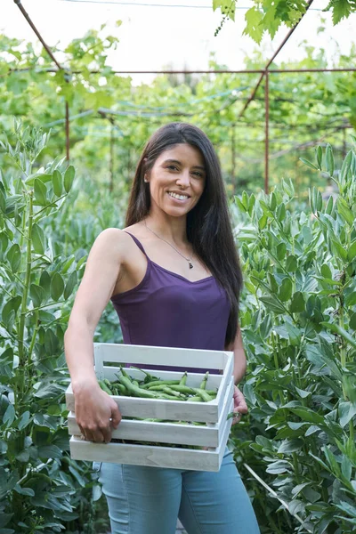 Şehir bahçesinde geniş fasulye kutusu tutan genç Latin kadın çiftçinin portresi. Toplum gönüllüsü.