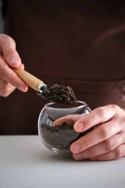 Mans Hands Filling Crystal Vase Pot Soil Home Gardening — Stock fotografie
