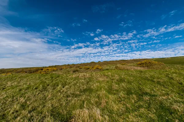 Wolken — Stockfoto