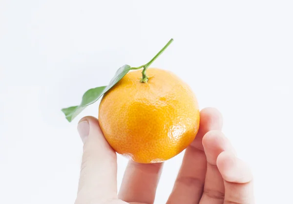 Mandarin, orange, citrus, fruit, food — Stock Photo, Image