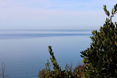 Kafkasya 'nın Karadeniz kıyıları.