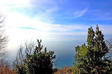 Kafkasya 'nın Karadeniz kıyıları.