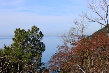 Kafkasya 'nın Karadeniz kıyıları.