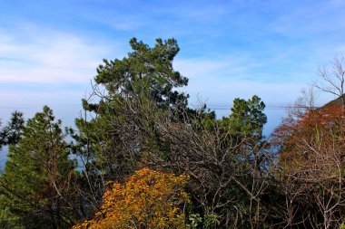 Kafkasya 'nın Karadeniz kıyıları.