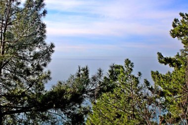 Kafkasya 'nın Karadeniz kıyıları.