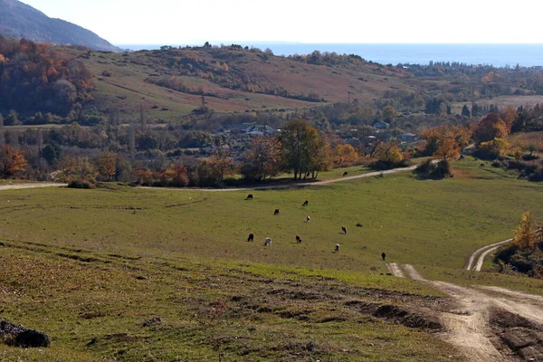 Die Schwarzmeerküste Des Kaukasus — Stockfoto