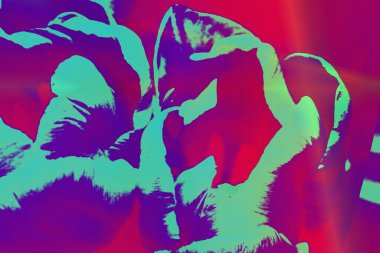 Renk soyutlaması, tasarım, yaratıcı kompozisyon