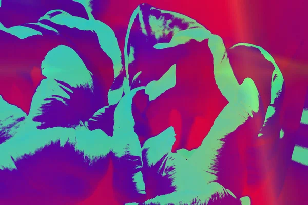 Renk soyutlaması, tasarım, yaratıcı kompozisyon