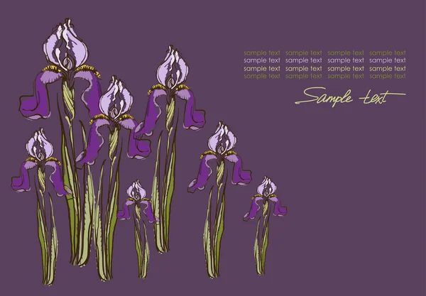 Una imagen vectorial del iris — Vector de stock