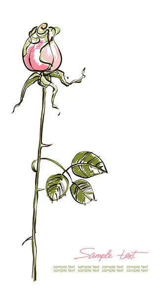 Retro kartkę z życzeniami z rose różowy. — Wektor stockowy