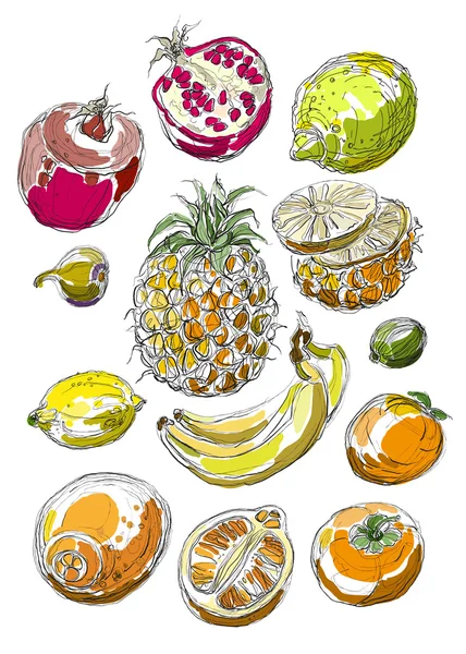 Conjunto de frutas. Desenho à mão livre . — Vetor de Stock