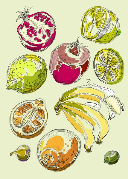 Conjunto de frutas. Dibujo a mano alzada . — Archivo Imágenes Vectoriales