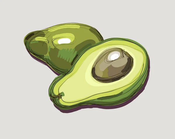 Illustration von frischer Avocado — Stockvektor