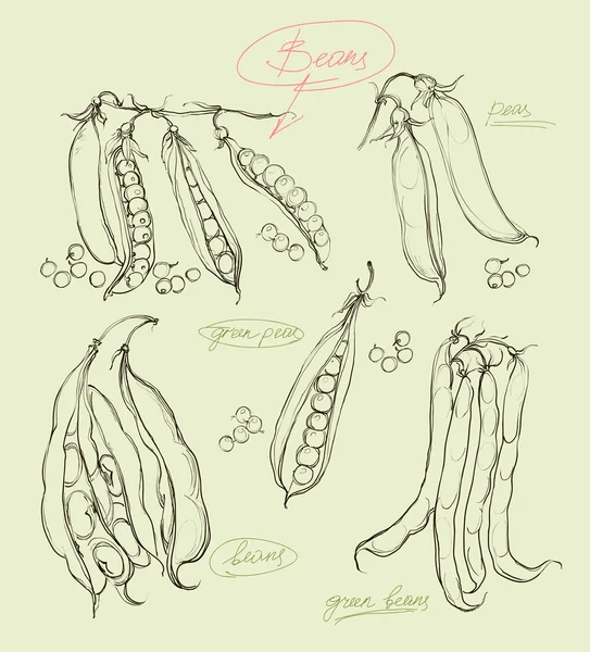 Juego de ilustración vectorial de guisantes verdes — Archivo Imágenes Vectoriales