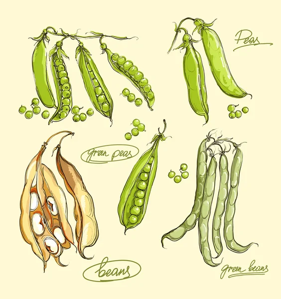 Conjunto de ilustrações vetoriais de ervilhas verdes — Vetor de Stock