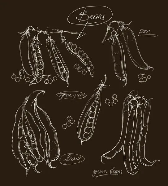 Vektorhandzeichnung Hülsenfrüchte auf schwarzem Hintergrund — Stockvektor