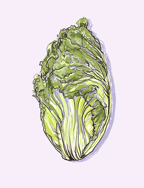 Реалістичний векторний набір малювання рук з овочів — стоковий вектор