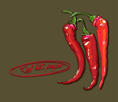 Vector hand drawing red hot peppers clipart