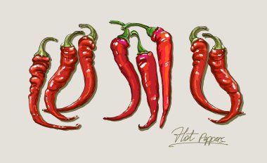 Vector hand drawing red hot peppers clipart