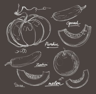 vektör el çizimi sulu kavunlar