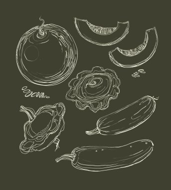 vektör el kavun dizi çizimi