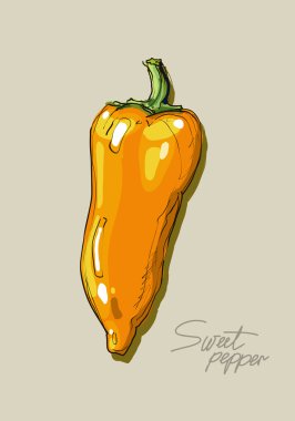 Vector hand drawing yellow sweet peppers clipart