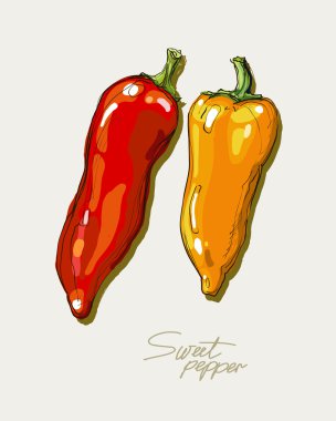 Vector hand drawing red and yellow sweet peppers clipart