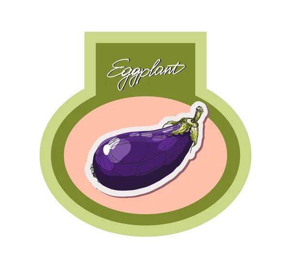 Vector hand drawing purple eggplant — Stock Vector