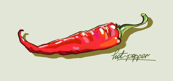 Vektor tangan menggambar paprika panas merah - Stok Vektor