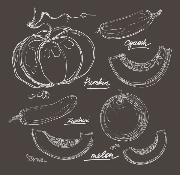 vektör el çizimi sulu kavunlar
