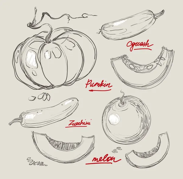 Vector mano dibujo jugoso melones — Vector de stock