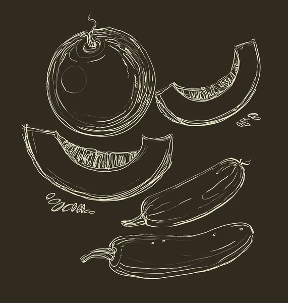 Vector mano dibujo jugoso melones — Archivo Imágenes Vectoriales