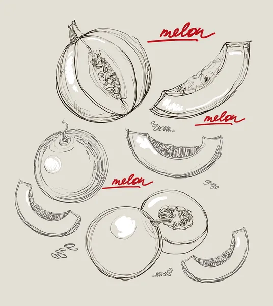 Vektor Hand Zeichnung saftige Melonen — Stockvektor