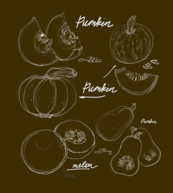 güzel bir kabak çizim vektör el